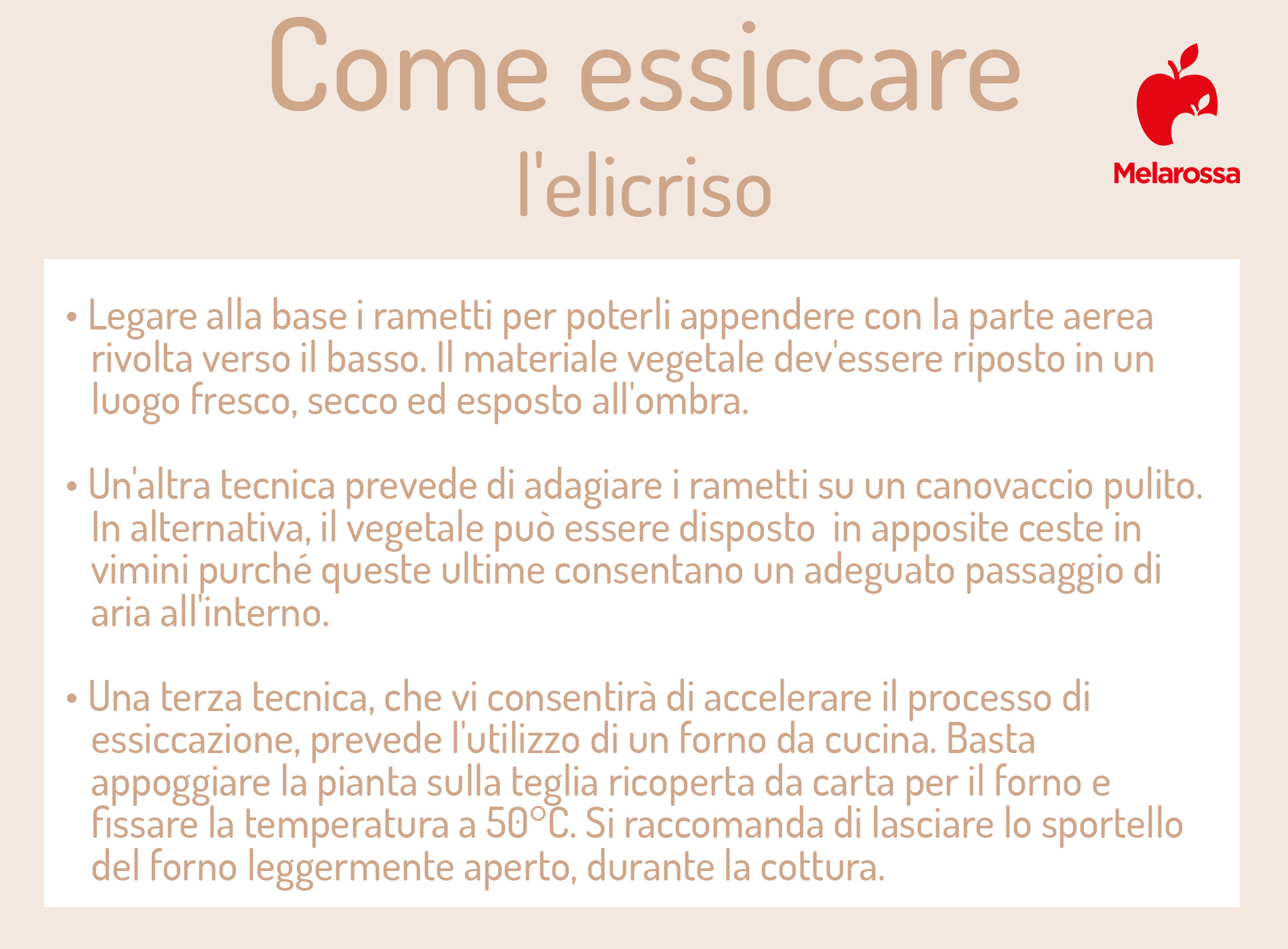 Elicriso: il fiore aromatico tra proprietà, benefici, ricette erboristiche, coltivazione ed usi in cucina 11 elicriso: come essiccarlo