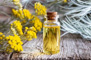 Elicriso: il fiore aromatico tra propriet&agrave;, benefici, ricette erboristiche, coltivazione ed usi in cucina