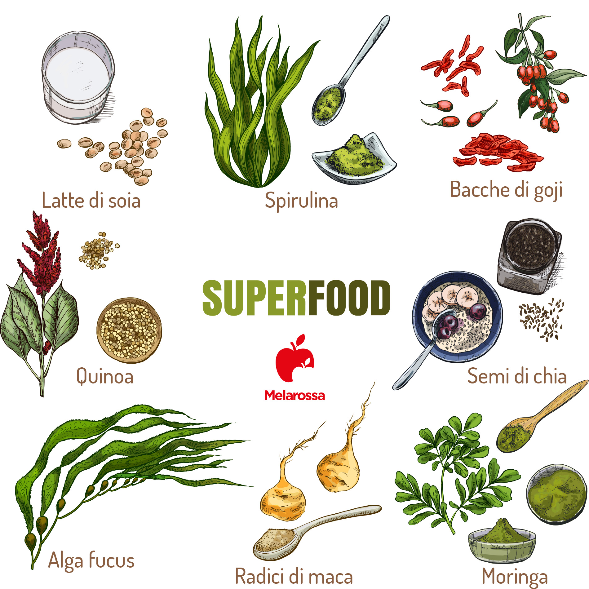 Maca: l'afrodisiaco naturale peruviano tra proprietà, benefici, valori nutrizionali, controindicazioni e modalità d'uso 4 maca è un superfood