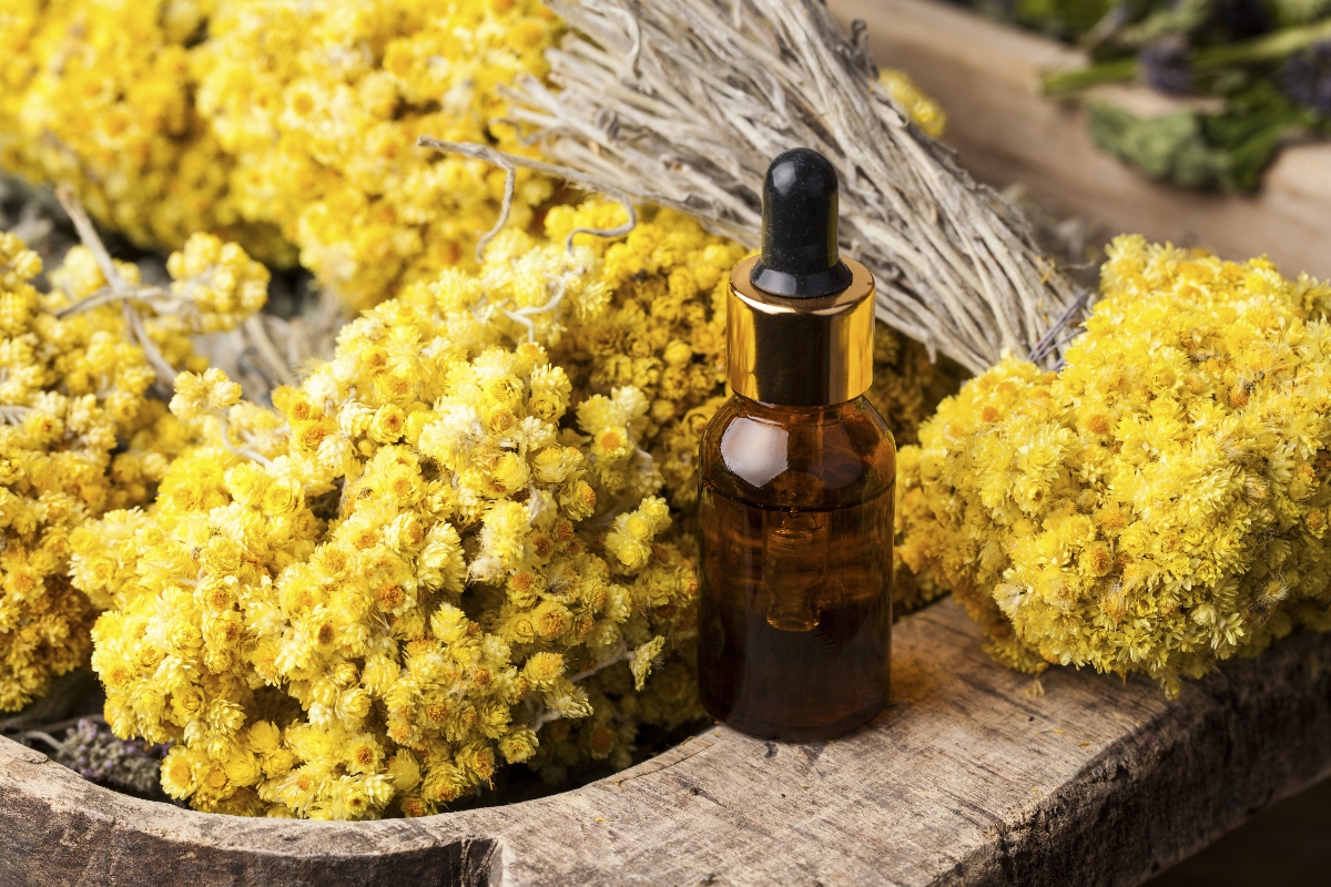 Elicriso: il fiore aromatico tra proprietà, benefici, ricette erboristiche, coltivazione ed usi in cucina 9 oleolito di elicriso