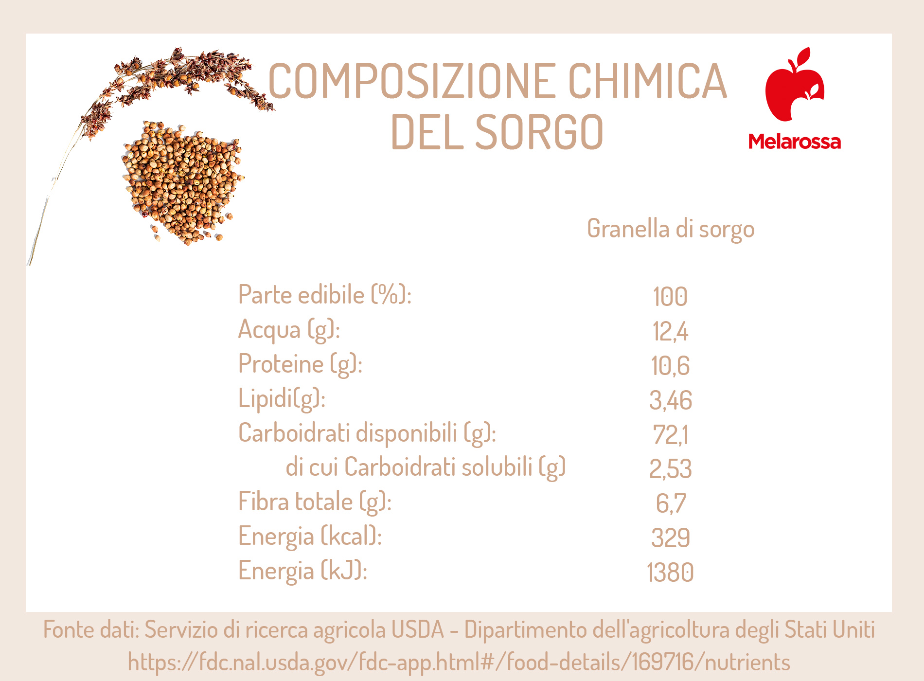 Sorgo, il cereale senza glutine: valori nutrizionali, come cuocerlo, usi in cucina e benefici 1 Tabella nutrizionale i valori del sorgo : calorie, proteine e fibre