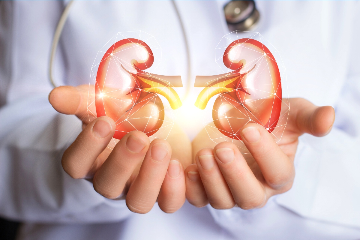 Azotemia: cos’è, perché e come si misura, risultati, valori alti e bassi, quando preoccuparsi, cure e diete 9 Trattamento dell'azotemia