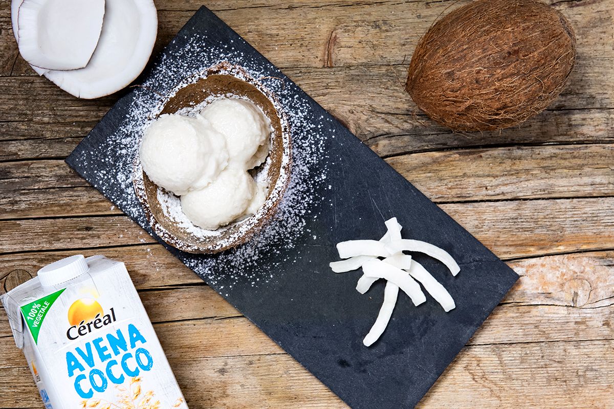 Gelato al cocco fatto in casa: ricetta classica e variante senza lattosio 5 gelato al cocco senza lattosio