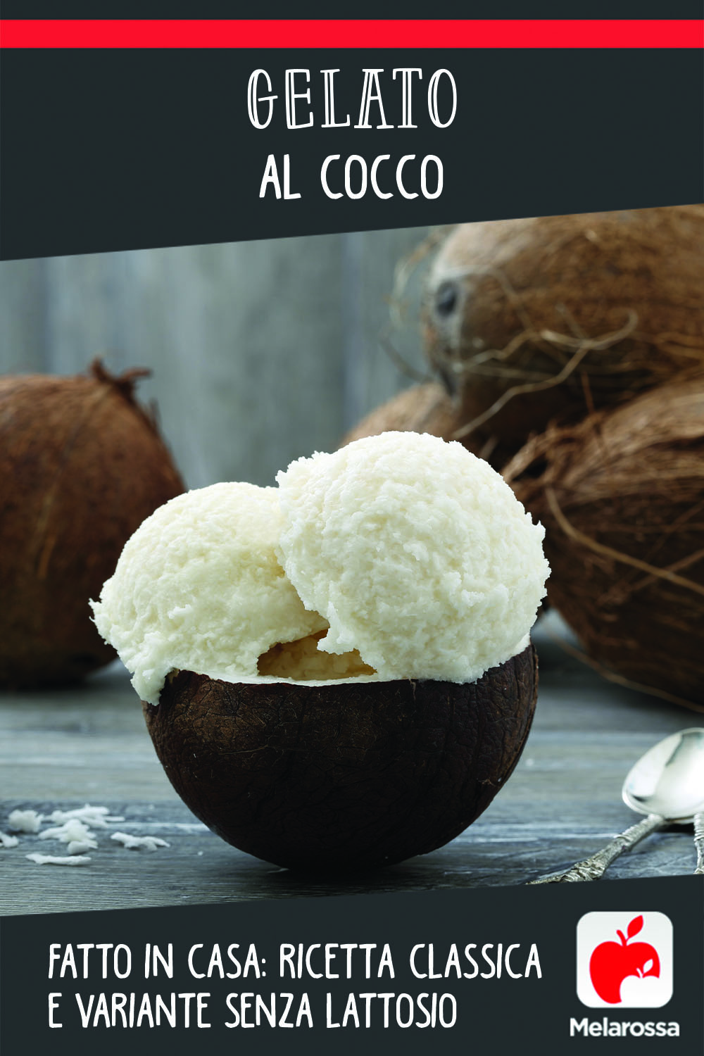 Gelato al cocco fatto in casa: ricetta classica e variante senza lattosio 8 gelato al cocco fatto in casa