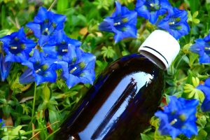 Genziana: propriet&agrave;, benefici, usi, controindicazioni e come fare il liquore