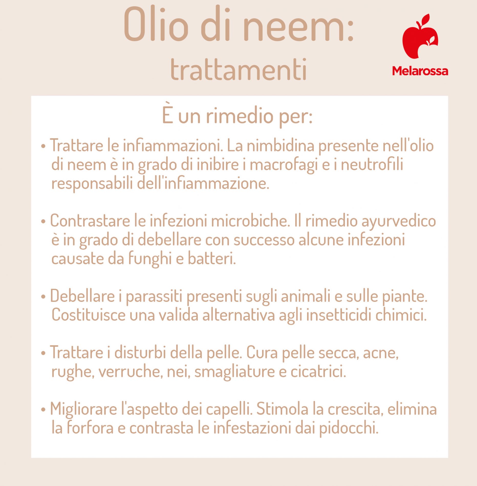 Olio di Neem: che cos'è, a cosa serve, usi e controindicazioni 3 olio di neem trattamenti 1