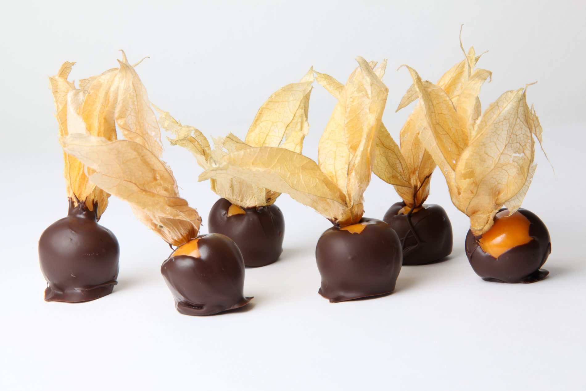 Alchechengi: la lanterna cinese tra proprietà, benefici, valori nutrizionali, usi in cucina e in erboristeria 10 alchechengi ricoperti di cioccolato: la ricette