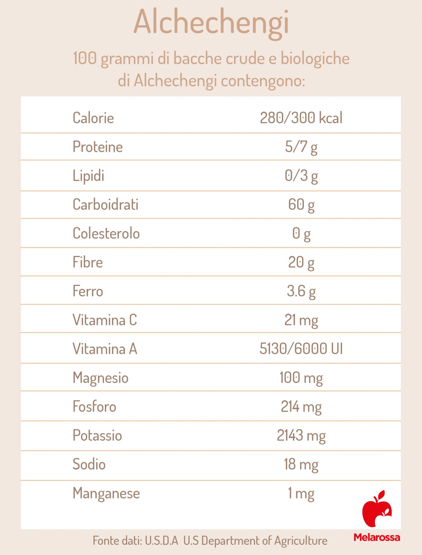 Alchechengi: la lanterna cinese tra proprietà, benefici, valori nutrizionali, usi in cucina e in erboristeria 1 alchechengi: valori nutrizionali