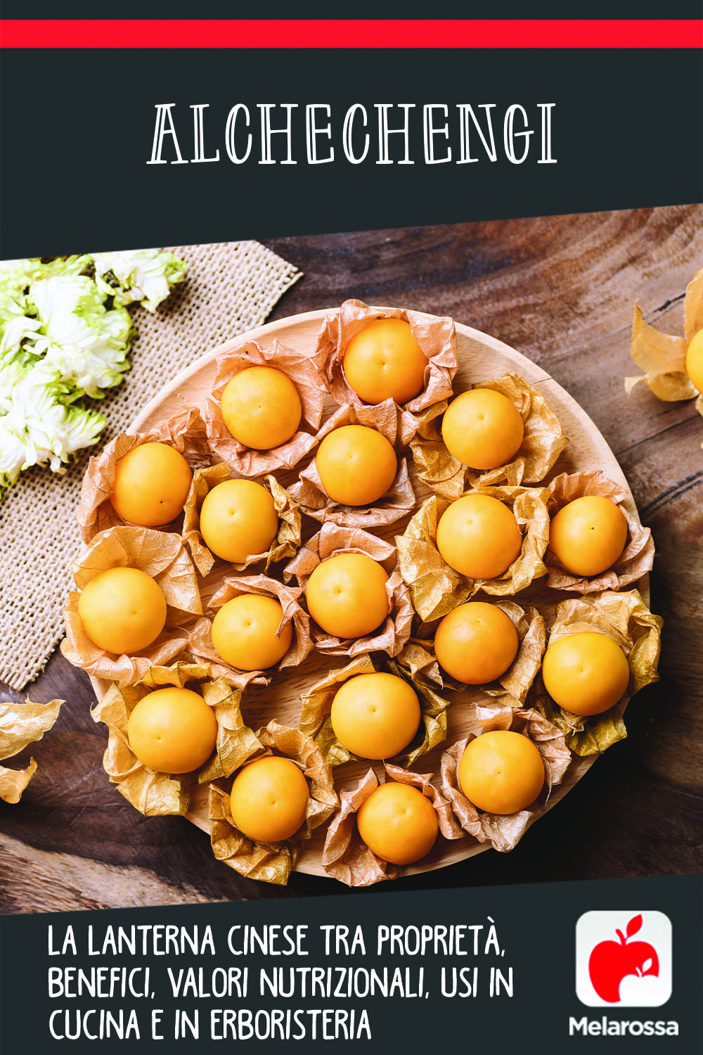 Alchechengi: la lanterna cinese tra proprietà, benefici, valori nutrizionali, usi in cucina e in erboristeria 15 alchechengi: cos'è, valori nutrizionali, benefici, usi