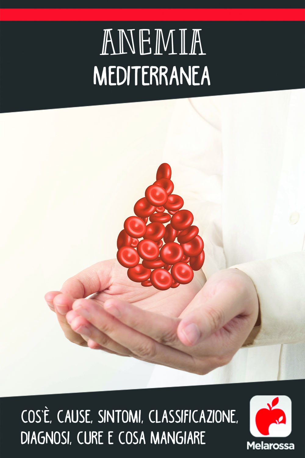 Anemia mediterranea: cos’è, cause, sintomi, classificazione, diagnosi, cure e cosa mangiare 8 anemia mediterranea: cos'è, cause, sintomi e cure