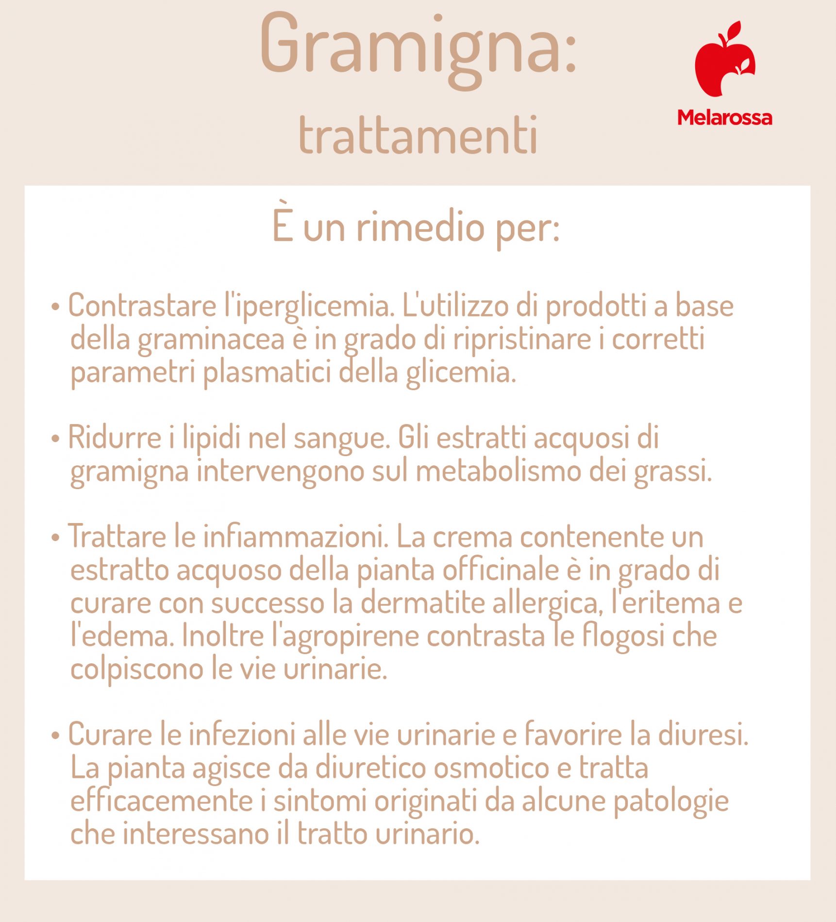 Gramigna: l'erba infestante tra proprietà, benefici, controindicazioni, modalità d'uso e botanica 5 gramigna trattamenti 1