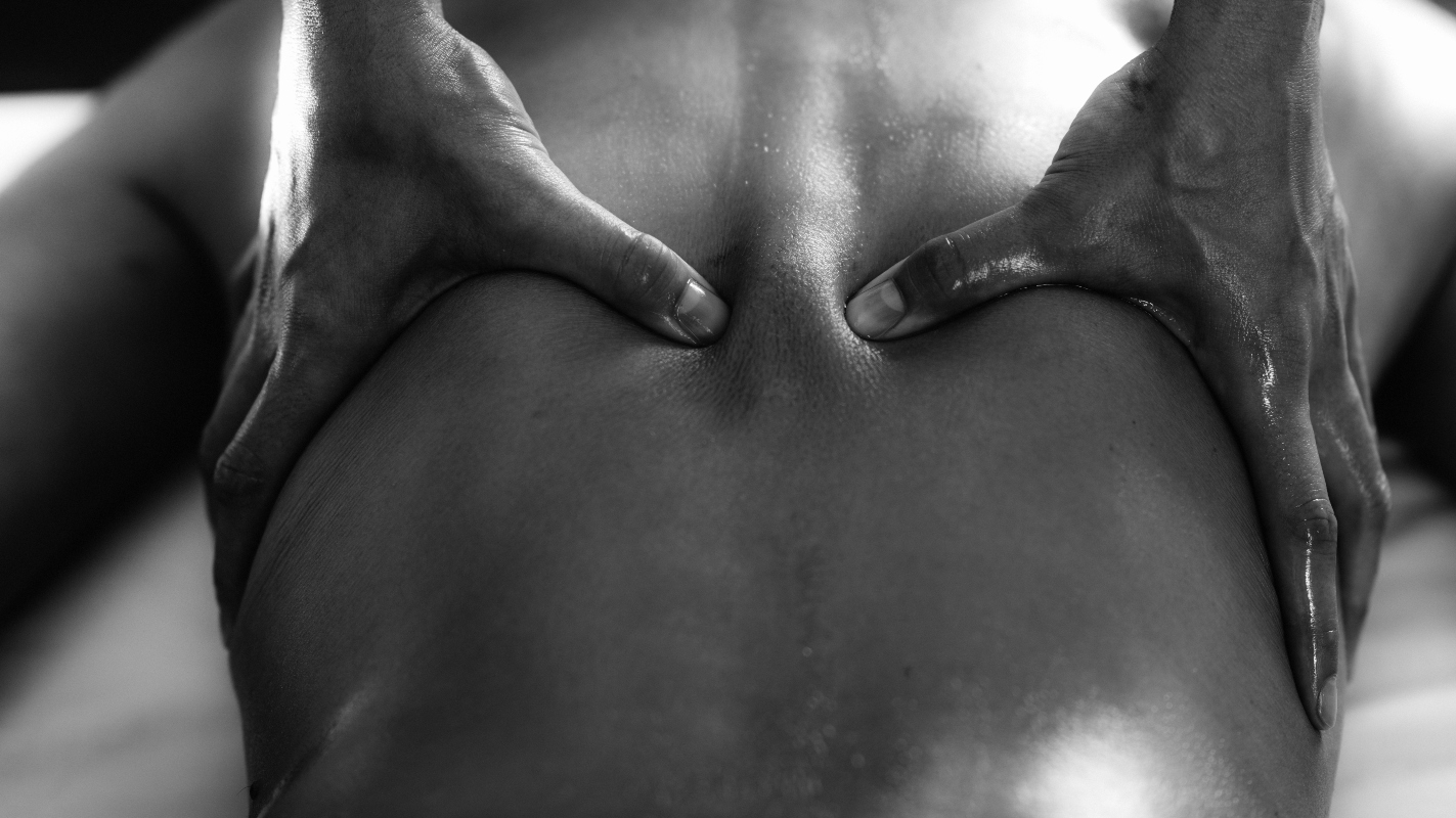 Ruta: cos'è, proprietà terapeutiche, benefici, usi, controindicazioni, botanica 5 ruta: decontratturante naturale