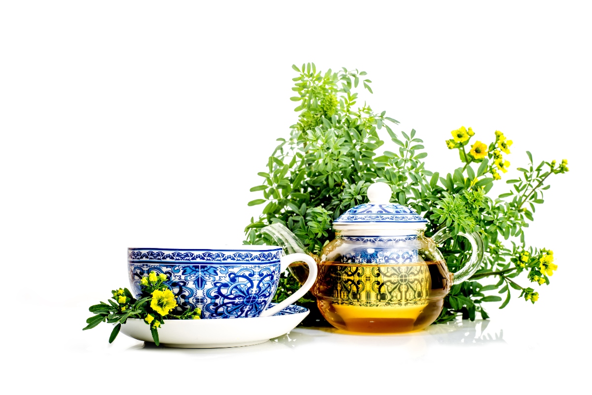 Ruta: cos'è, proprietà terapeutiche, benefici, usi, controindicazioni, botanica 7 ruta tisana