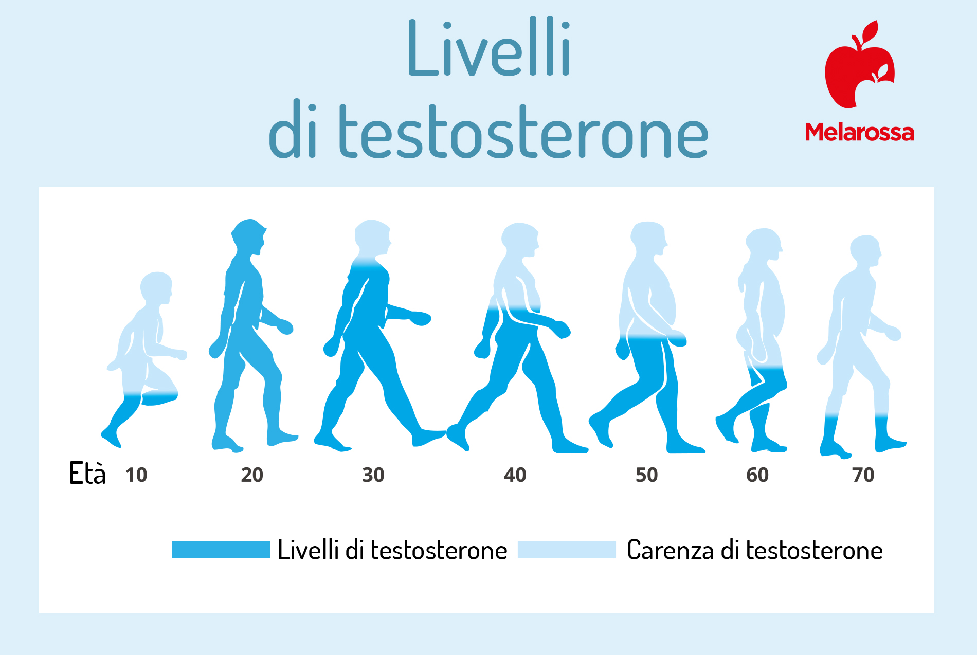 Testosterone: cos’è, come aumentarlo, basso o alto e integratori 1 livelli di testosterone nella vita