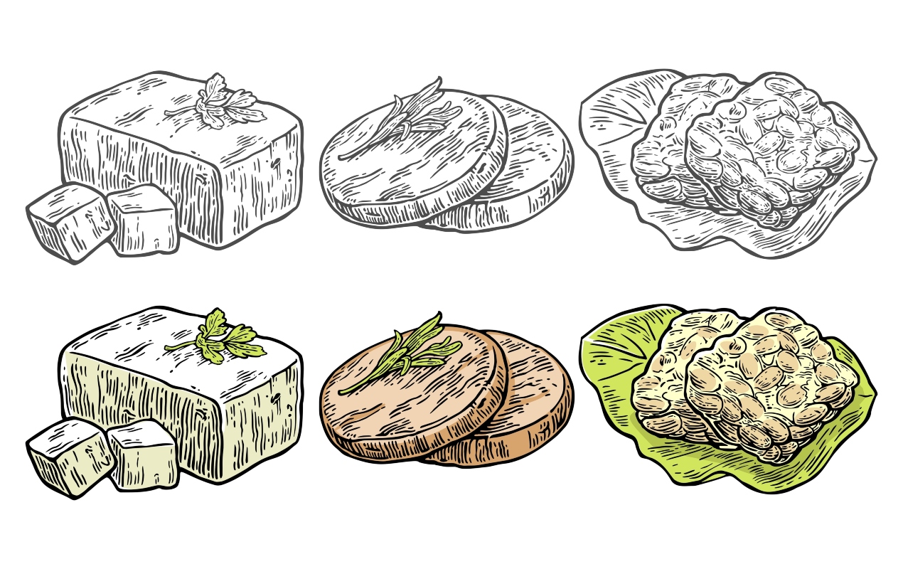 Muscolo di grano: cos’è, valori nutrizionali, benefici e come si prepara in casa 1 differenza tra muscolo di grano e seitan