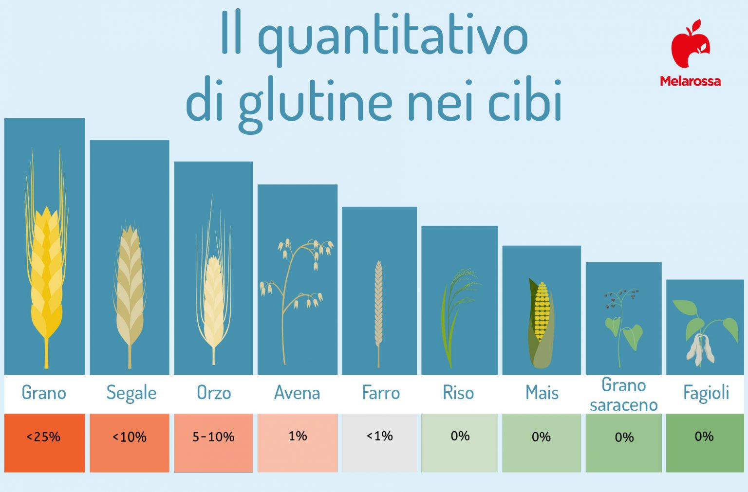 Muscolo di grano: cos’è, valori nutrizionali, benefici e come si prepara in casa 7 muscolo di grano: controindicazioni