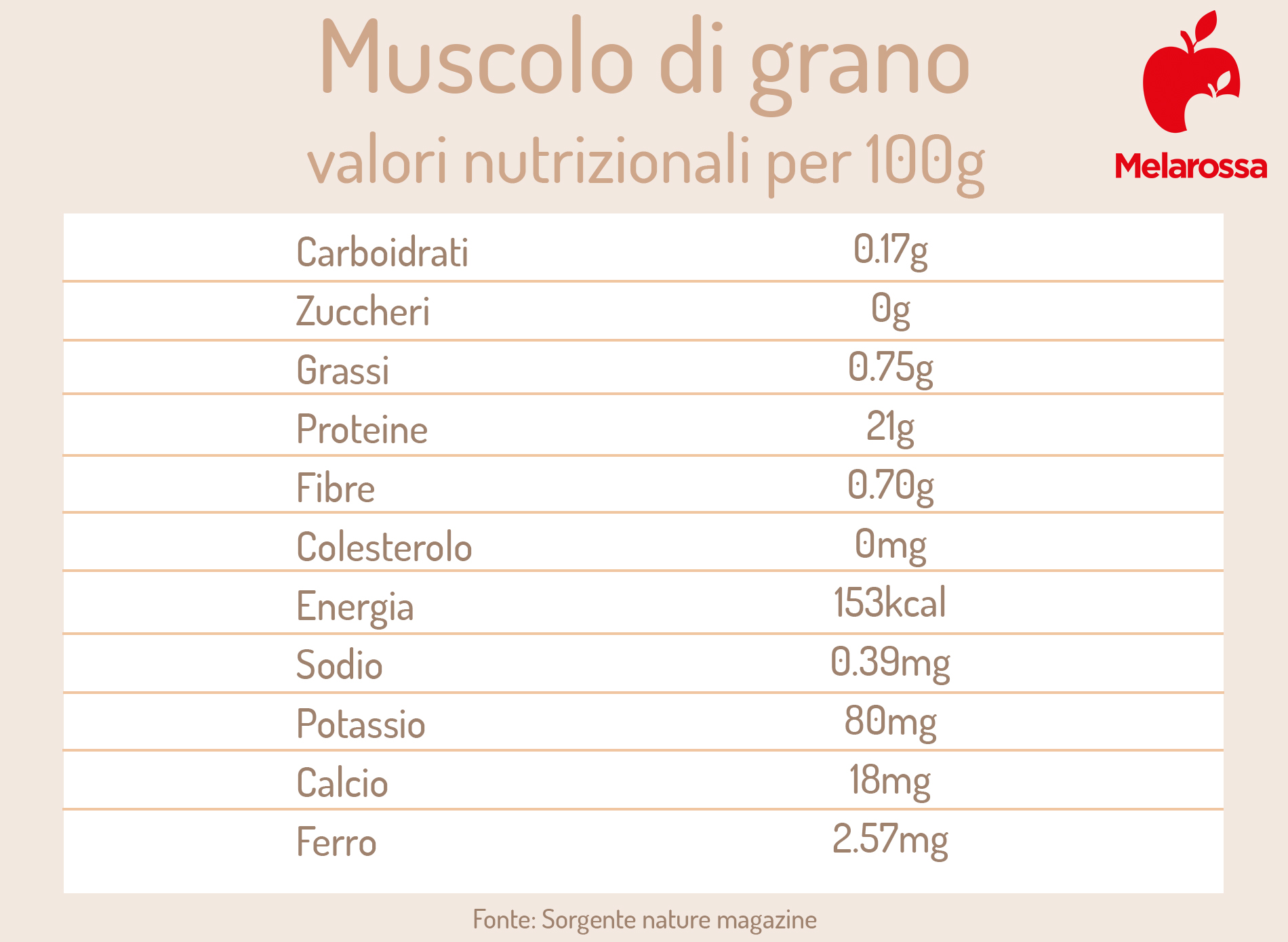 Muscolo di grano: cos’è, valori nutrizionali, benefici e come si prepara in casa 2 muscolo di grano valori nutrizionali
