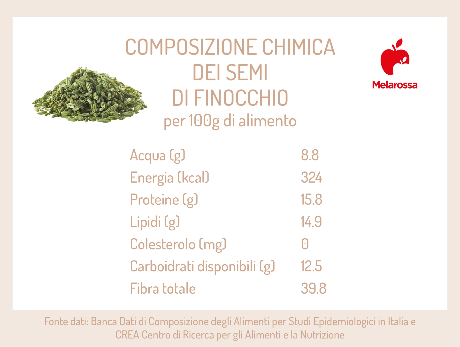 Semi di finocchio: proprietà, benefici, usi e valori nutrizionali 1 Grafica sulla composizione chimica dei semi di finocchio