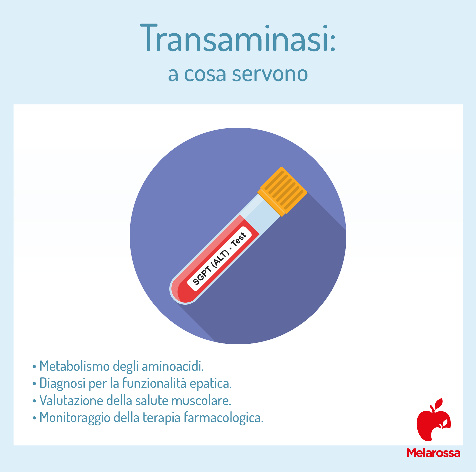 Transaminasi: cosa sono, valori normali, alte e basse e quando preoccuparsi 1 a cosa servono le transaminasi