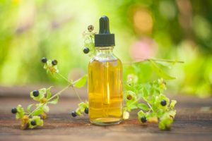 Belladonna: propriet&agrave;, principi attivi, botanica, usi terapeutici, controindicazioni