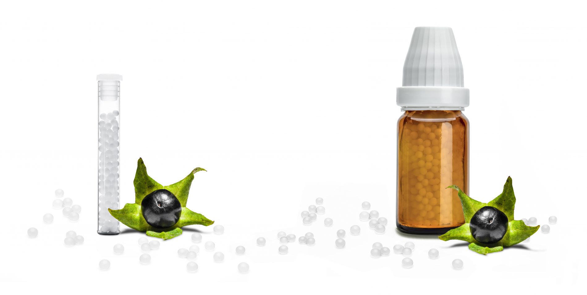 Belladonna: proprietà, principi attivi, botanica, usi terapeutici, controindicazioni 8 belladonna: come assumerla