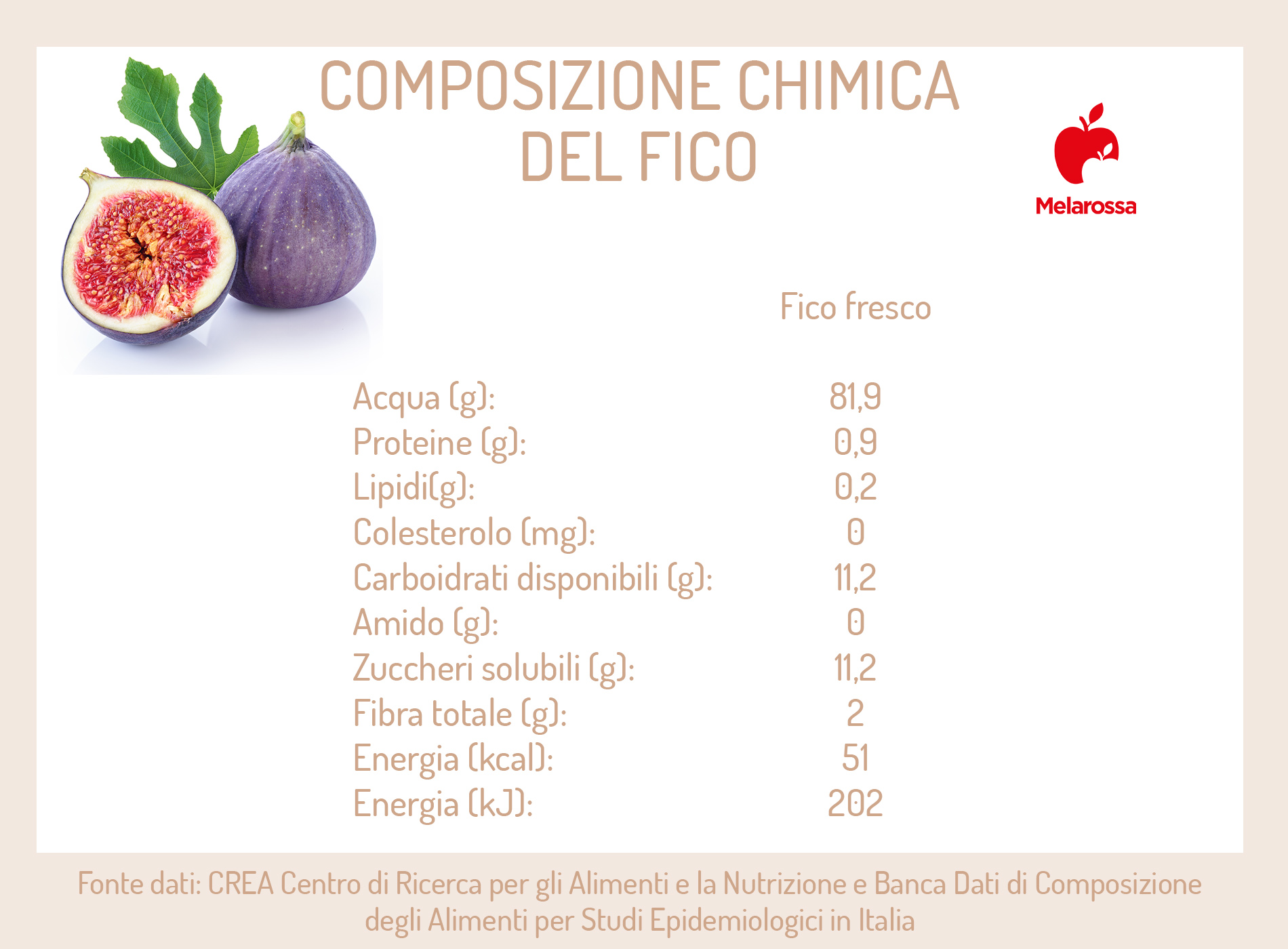 Fico: proprietà, usi e controindicazioni per la salute 1 composizione chimica del fico-