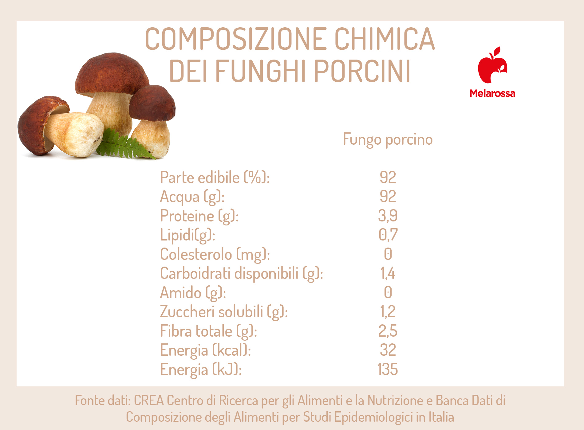 Funghi porcini: come riconoscerli e cucinarli al meglio 3 funghi porcini: calorie