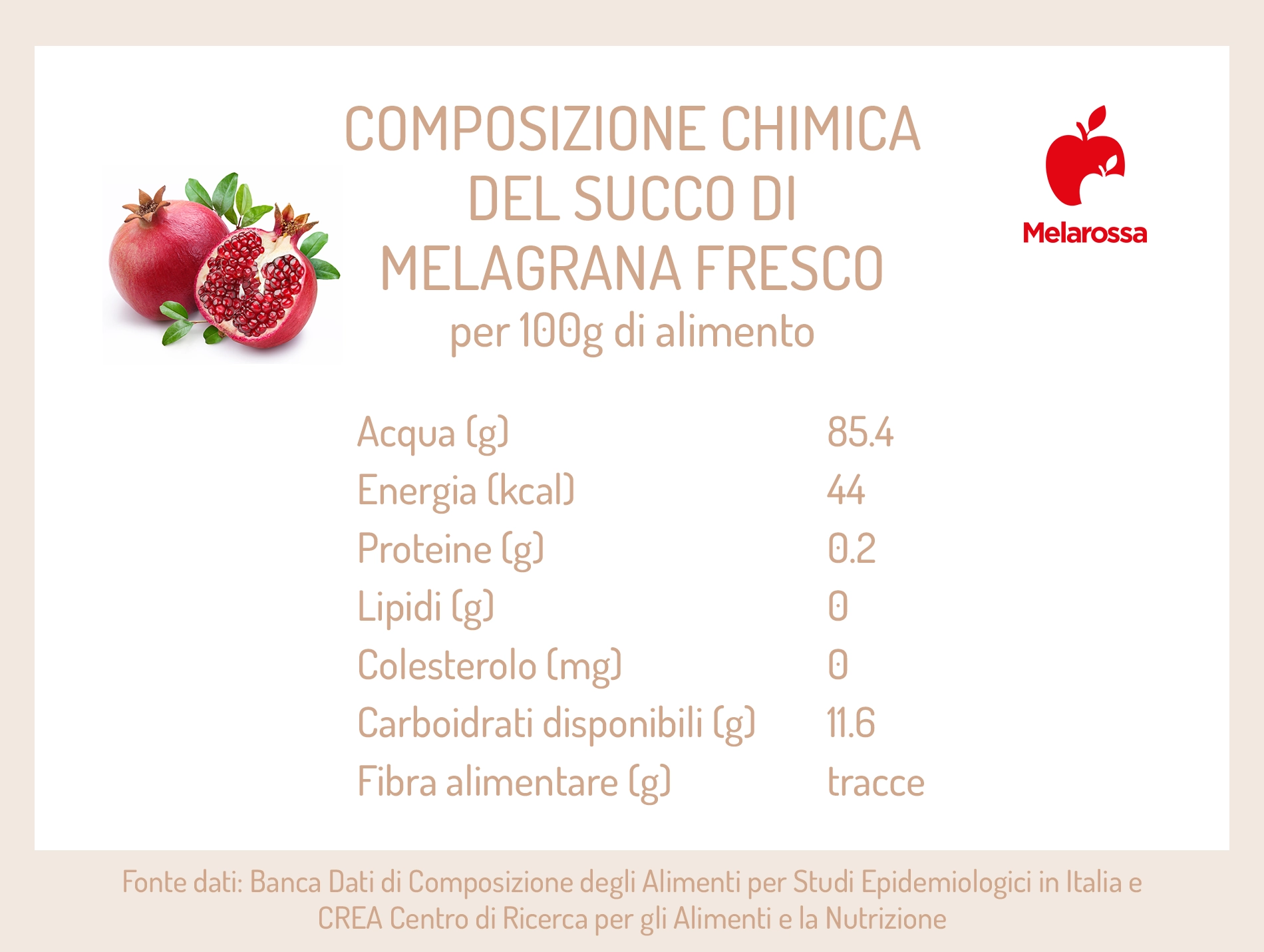 Melagrana: proprietà, benefici, come sgranare il melograno e idee ricette 1 una grafica sulla composizione chimica del succo di melagrana