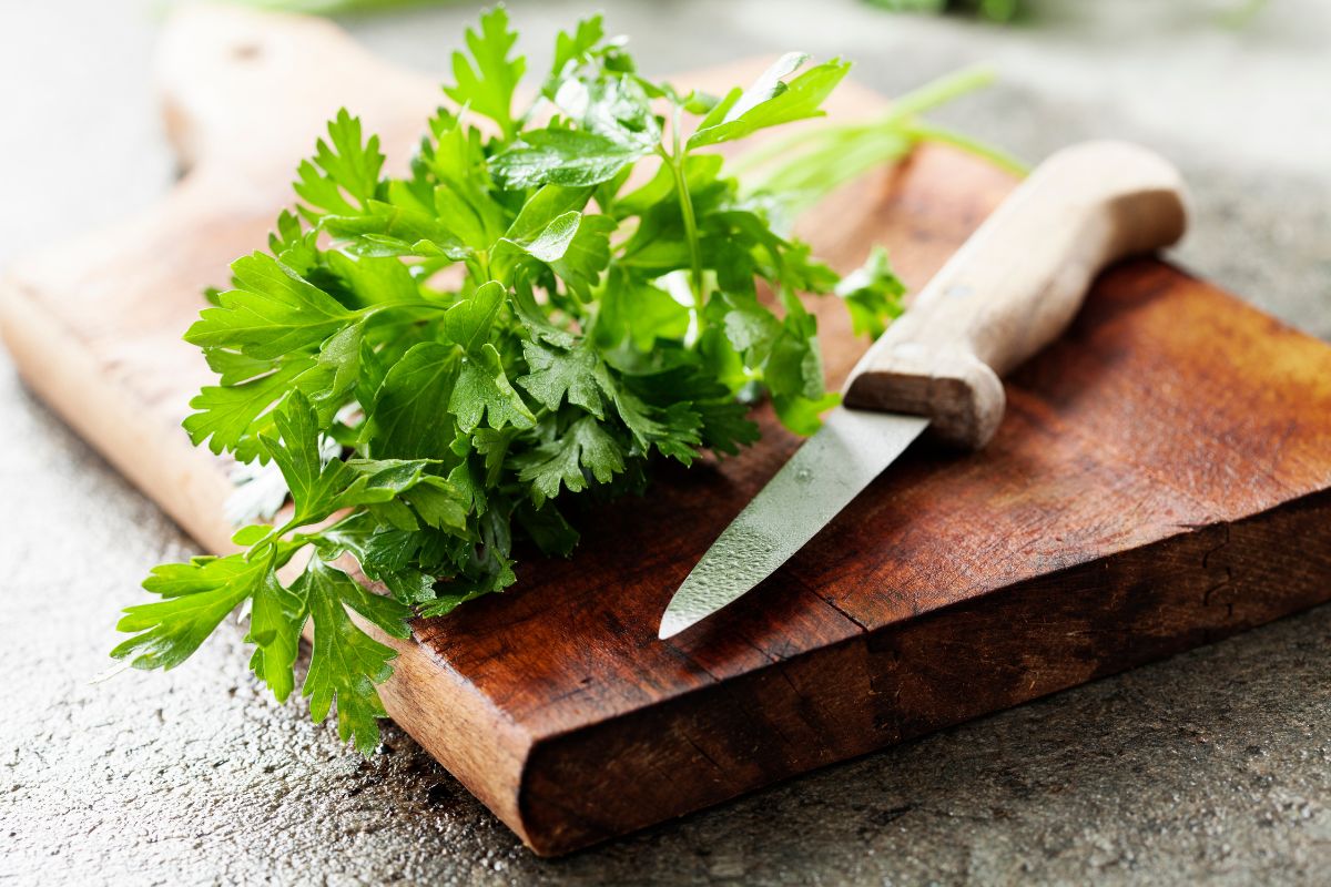 Prezzemolo: il re delle erbe aromatiche tra proprietà, benefici, controindicazioni e ricette 3 prezzemolo: benefici