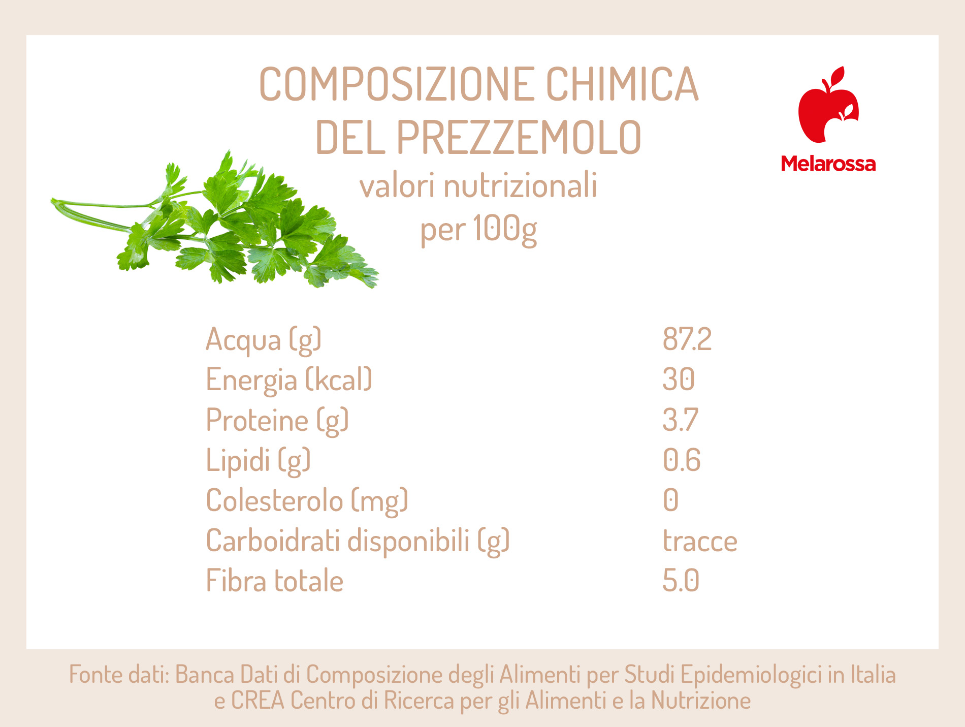 Prezzemolo: il re delle erbe aromatiche tra proprietà, benefici, controindicazioni e ricette 2 prezzemolo: composizione