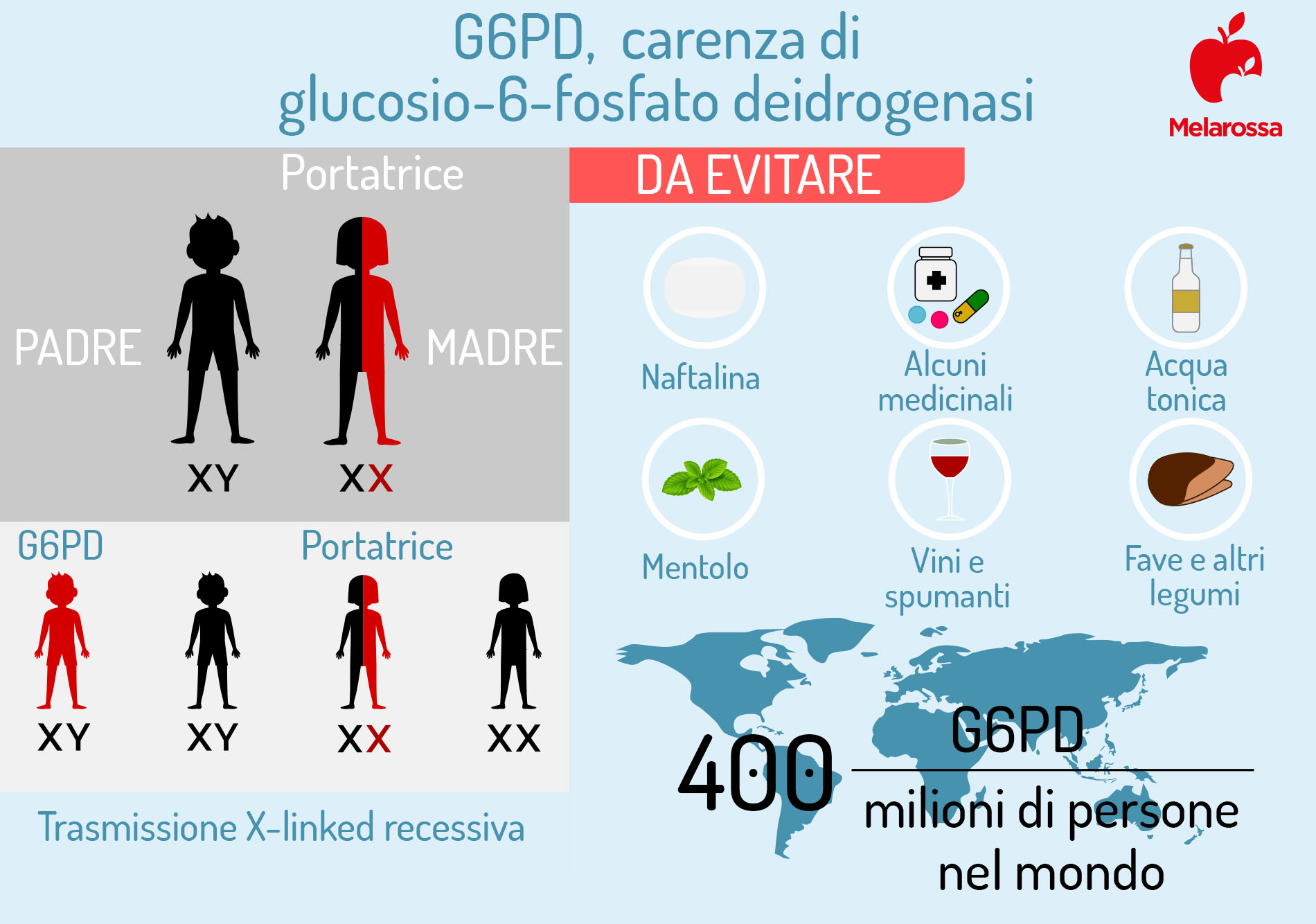 Favismo: che cos’è, alimenti e farmaci da evitare, cause, sintomi, diagnosi, terapie e dieta 2 favismo e carenza di G6PD