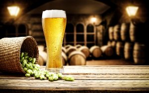 Luppolo: cos&rsquo;&egrave;, propriet&agrave;, benefici, usi in cucina e bellezza, produzione della birra