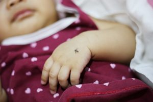Malaria: cos&rsquo;&egrave;, cause, come avviene il contagio, diagnosi, sintomi, terapia e prevenzione