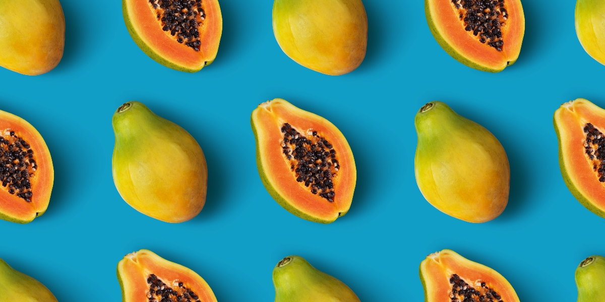 Papaya fermentata: cos'è, a cosa serve, benefici, modalità d'assunzione e controindicazioni 2 papaya fermentata: a cosa serve