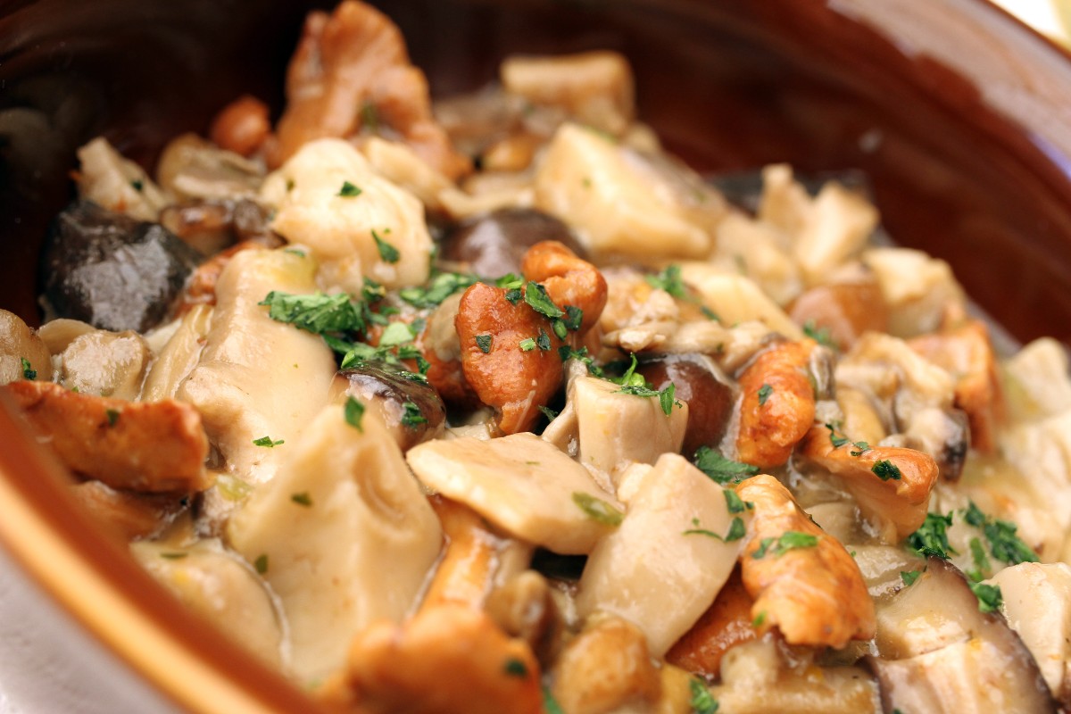 Funghi trifolati: la ricetta semplice e veloce per un contorno gustoso 1 ricetta funghi trifolati