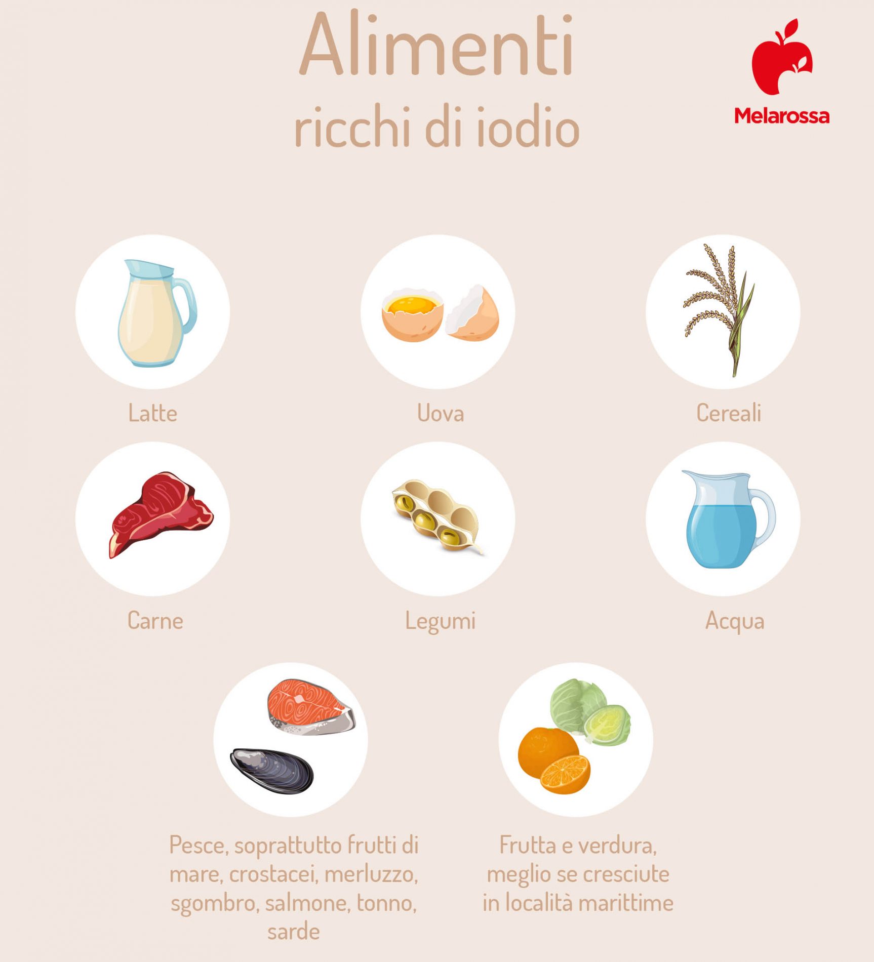 Sale iodato: cos’è, caratteristiche, differenza con gli altri sali, proprietà e benefici, perché e quanto usarne 8 alimenti ricchi di iodio