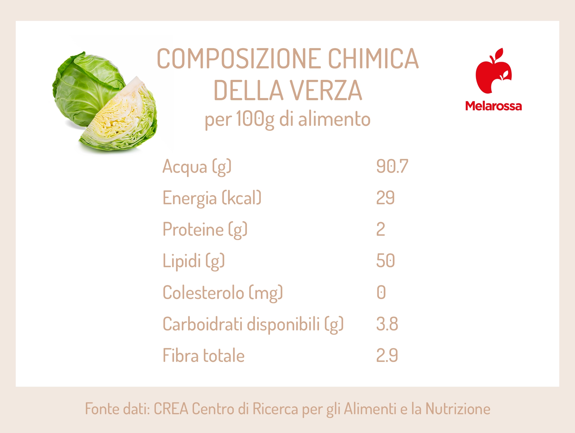 Verza: cos’è, valori nutrizionali, calorie e ricette 1 verza: composizione