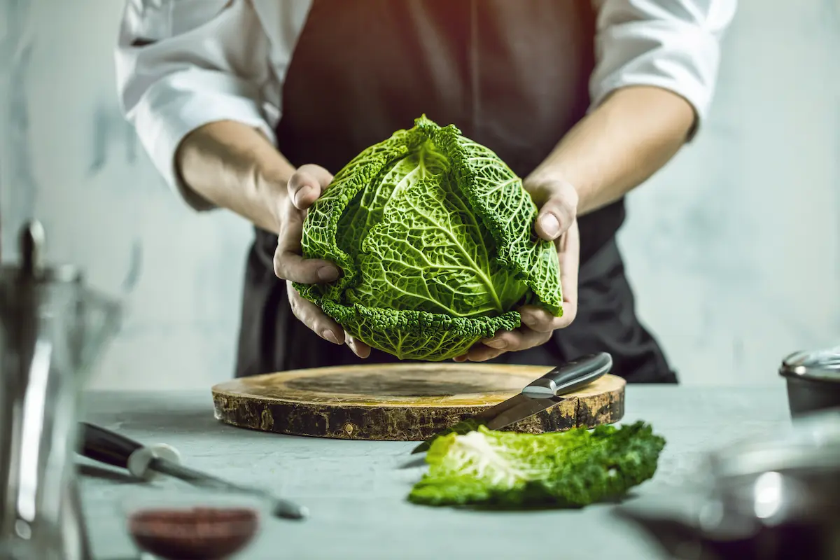 Verza: cos’è, valori nutrizionali, calorie e ricette 3 ricette con la verza