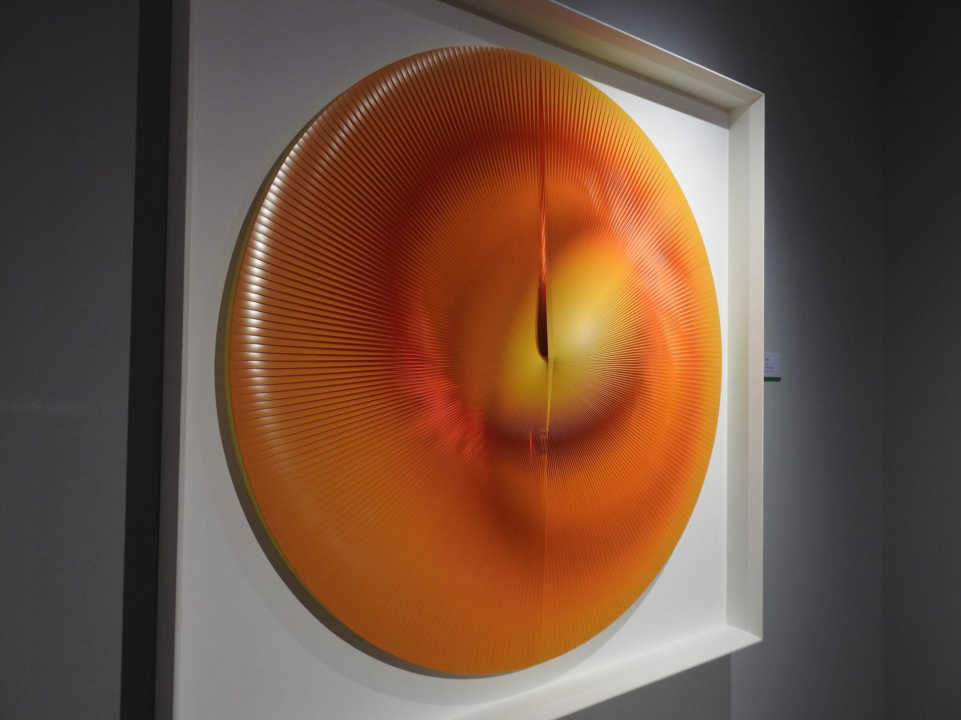 Alla scoperta dell'Ara Pacis con Alberto Biasi, maestro dell'Optical Art 1 ara pacis mostra alberto biasi 3