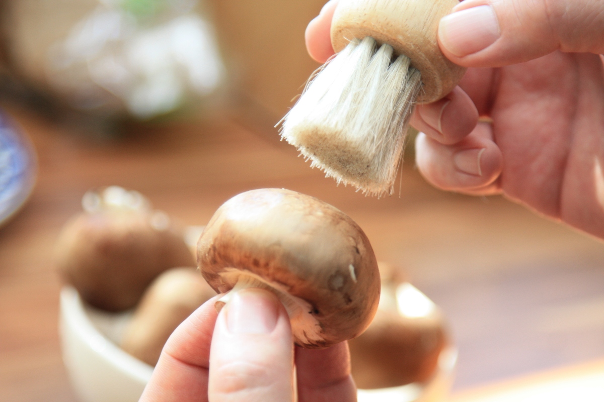 Funghi: cosa sono, varietà, benefici e le migliori ricette per gustarli 8 come pulire i funghi