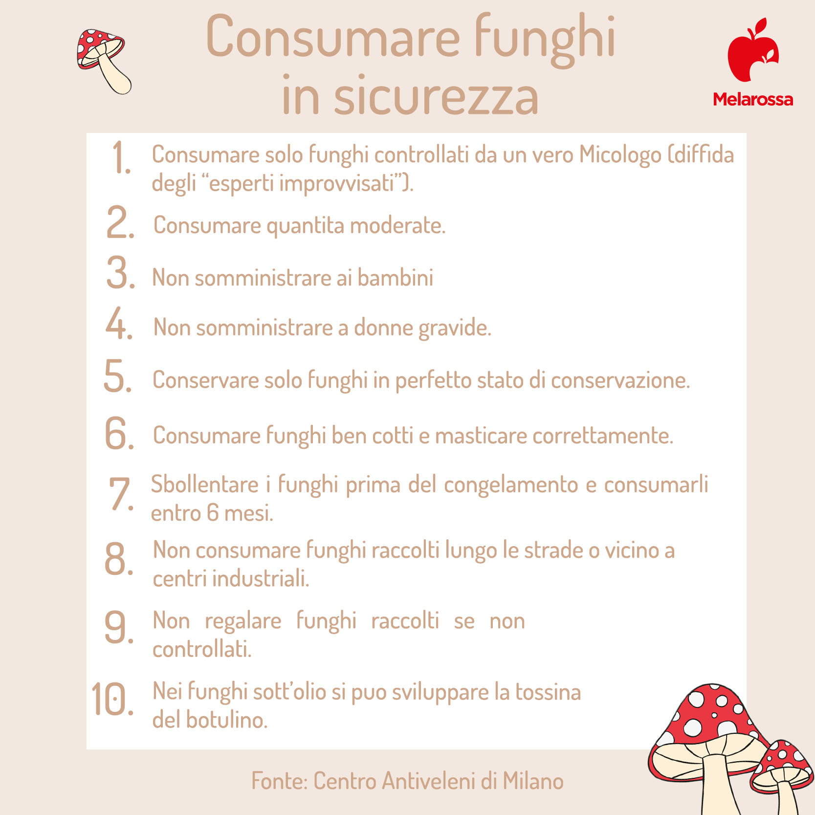 Funghi: cosa sono, varietà, benefici e le migliori ricette per gustarli 7 decalogo per consumare i funghi in sicurezza