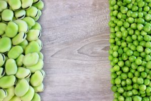 Favismo: che cos&rsquo;&egrave;, alimenti e farmaci da evitare, cause, sintomi, diagnosi, terapie e dieta