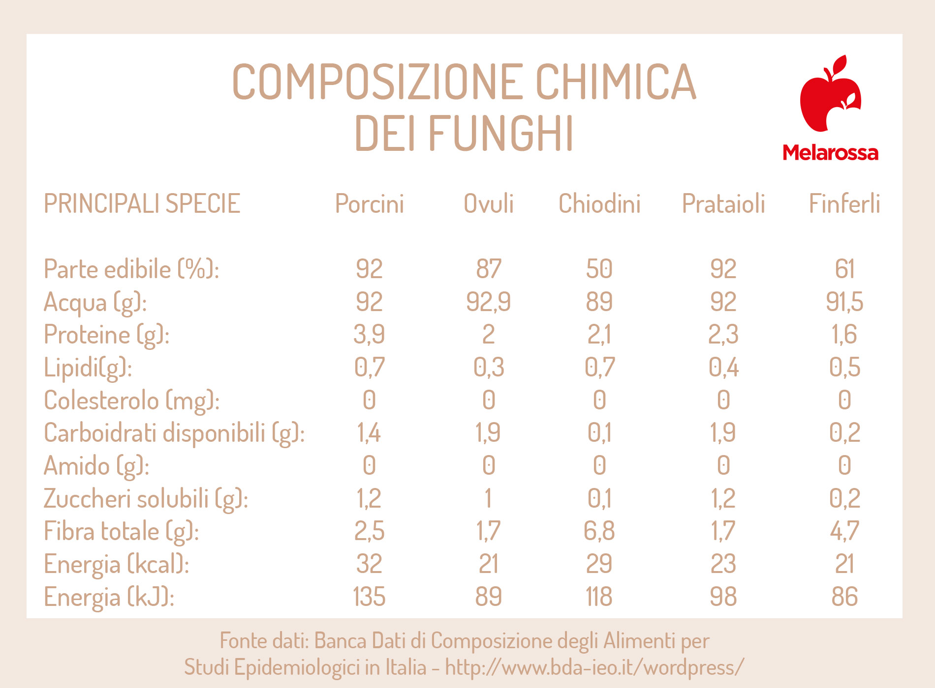 Funghi: cosa sono, varietà, benefici e le migliori ricette per gustarli 2 funghi calorie e composizione chimica