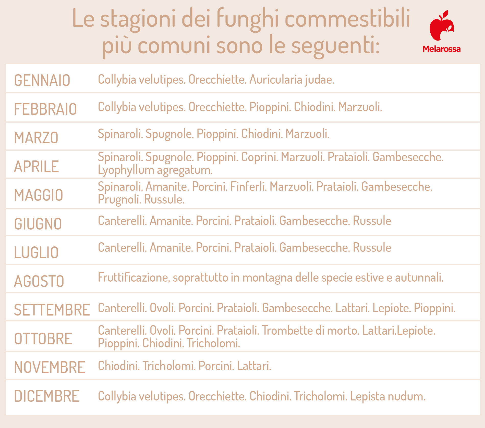 Come raccogliere i funghi in sicurezza? Stagionalità, specie commestibili e cosa fare in caso di intossicazione 1 le stagioni di raccolta dei funghi