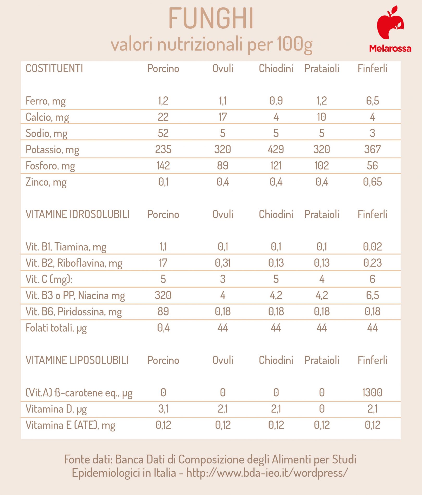 Funghi: cosa sono, varietà, benefici e le migliori ricette per gustarli 3 funghi: valori nutrizionali