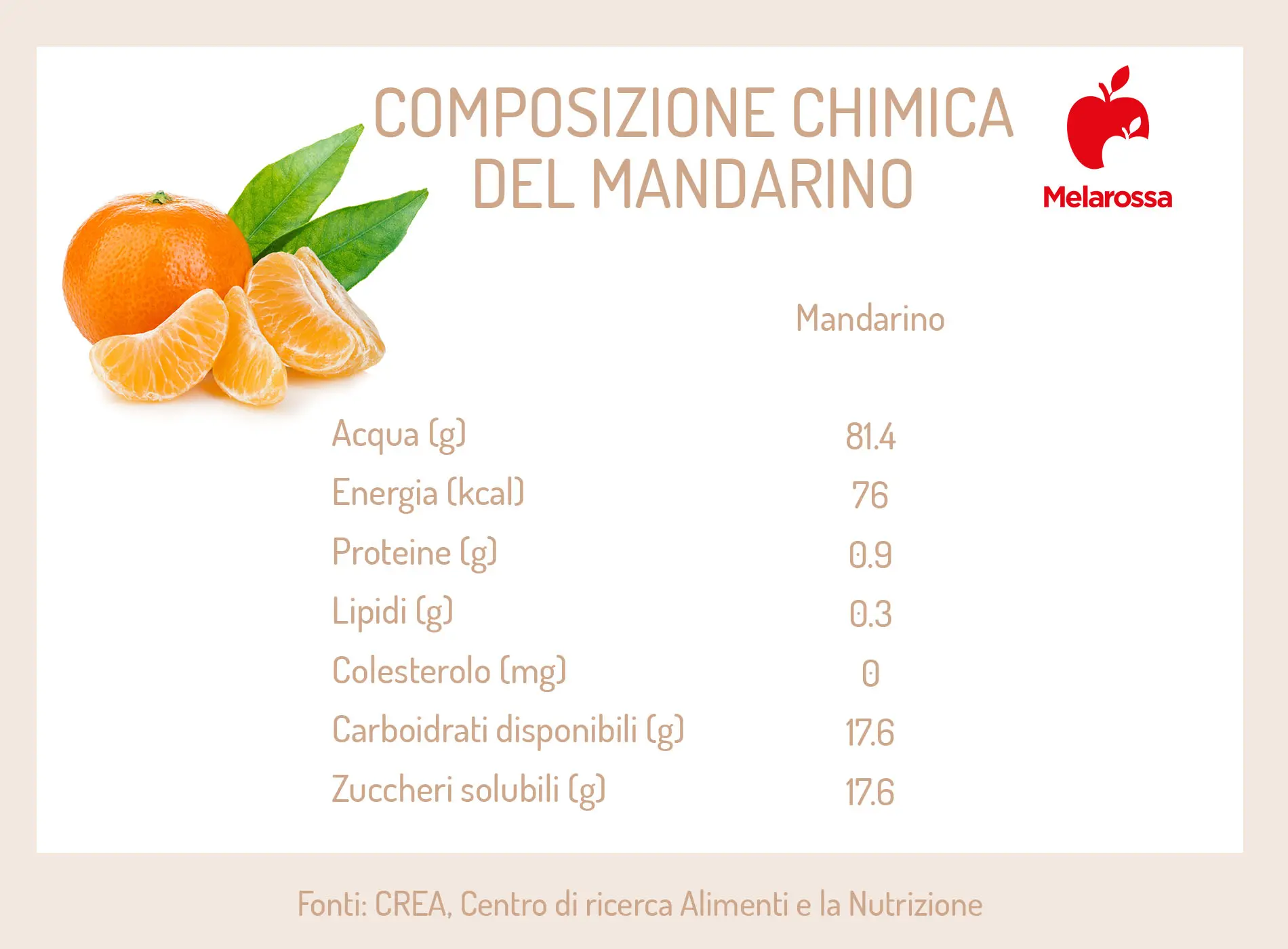 Mandarino: proprietà, calorie e usi in cucina 1 grafica sui valori nutrizionali del mandarino