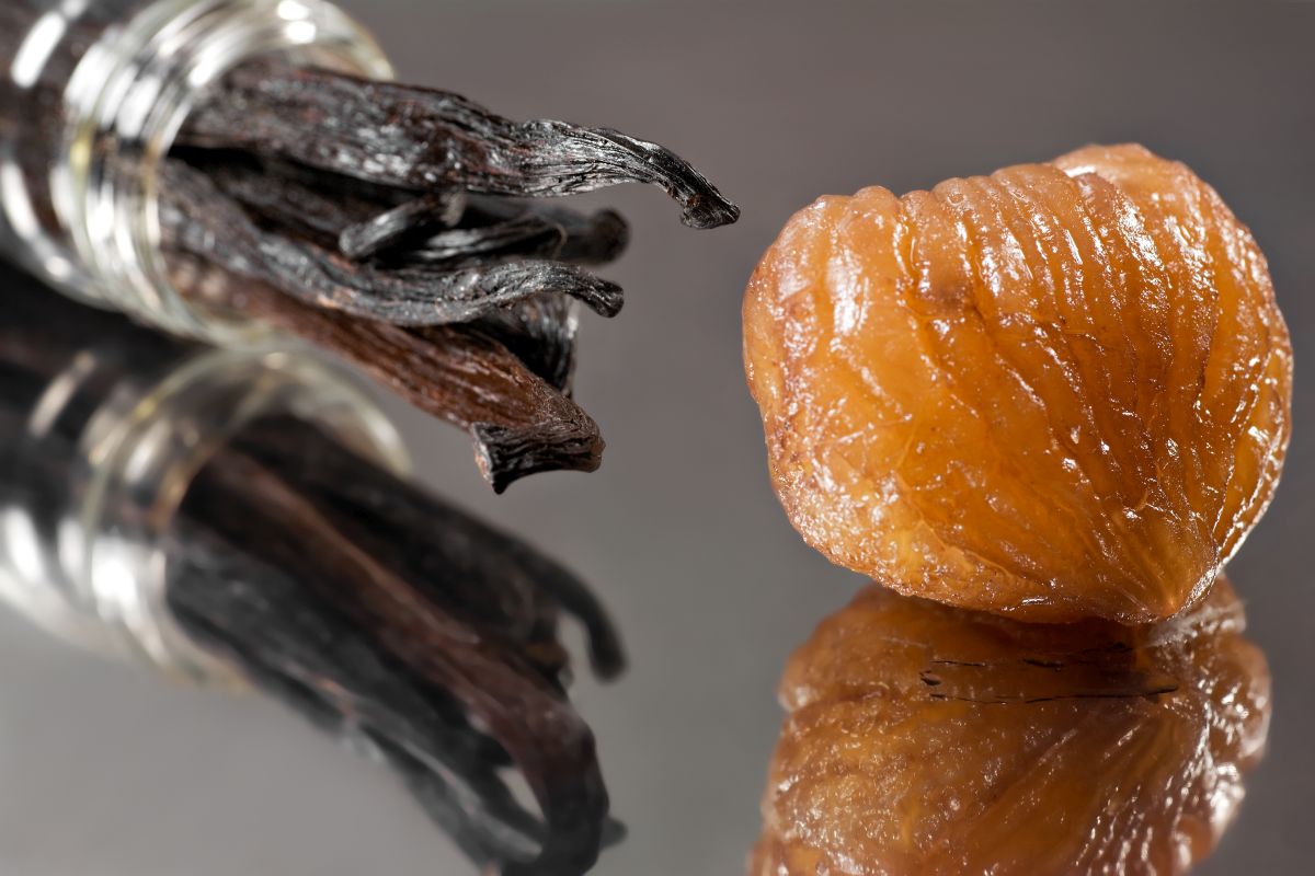 Marron glacés, scopri come preparare in casa questo dolce goloso 5 Marron glaces, una piccola coccola