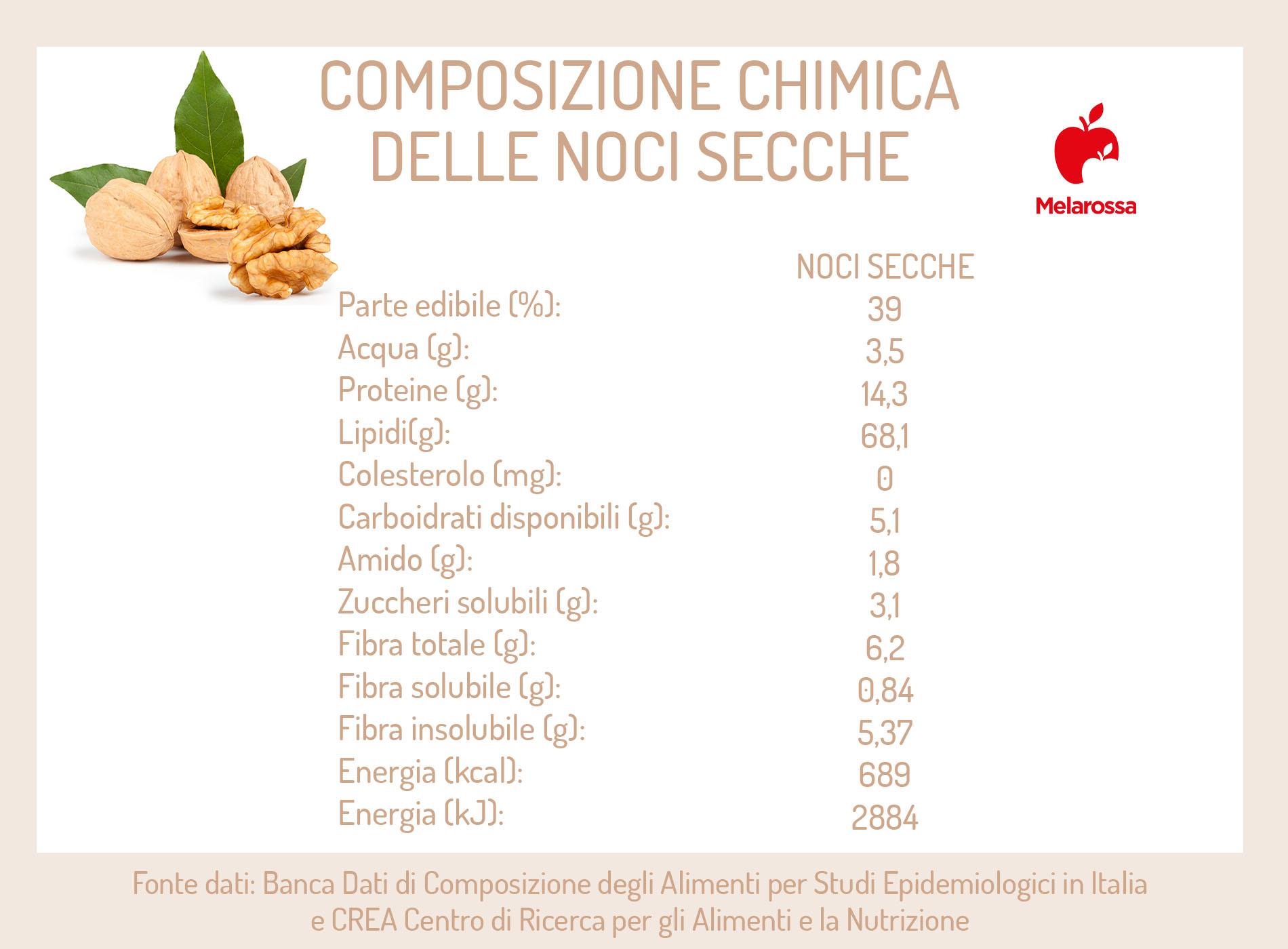 Noci: proprietà, calorie e usi in cucina 1 grafica sulle proprietà nutrizionali delle noci