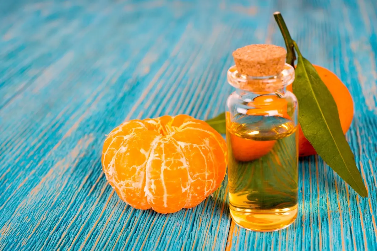 Mandarino: proprietà, calorie e usi in cucina 2 su un tavolo un mandarino sbucciato e una bottiglietta di olio essenziale al mandarino