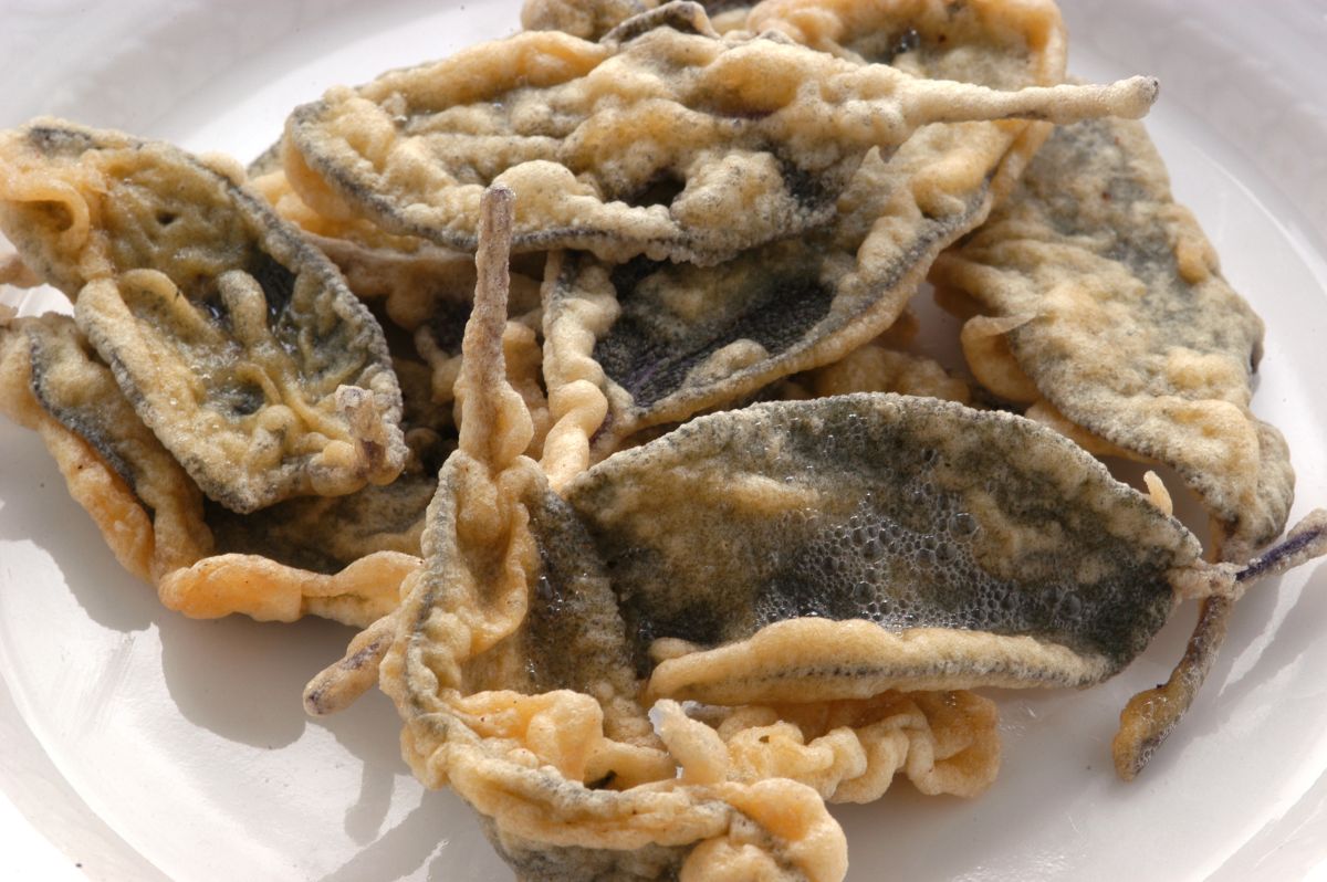 Salvia fritta: la ricetta delle foglie in pastella 2 ricetta salvia fritta